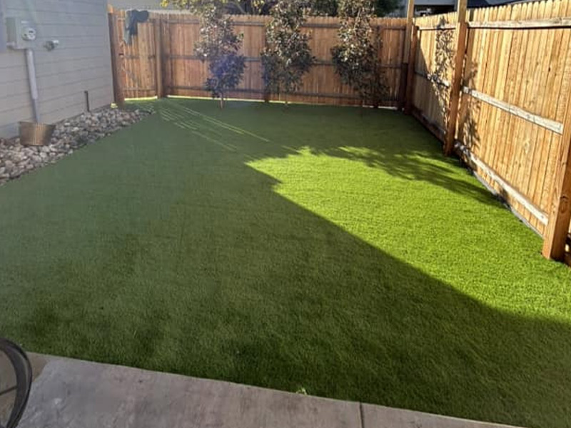 backyard with brand new turf
