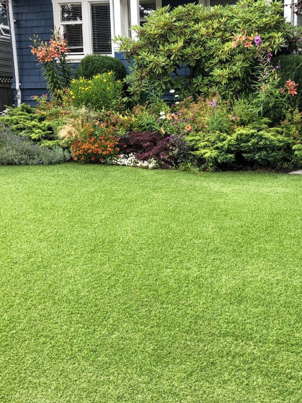 Artificial turf on a North Texas lawn. 