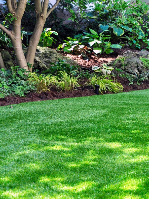 Beautiful Artificial turf in a mckinney lawn. 